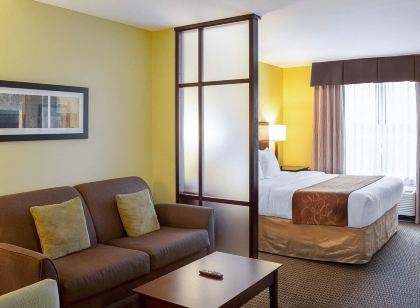 Comfort Suites Harvey - New Orleans West