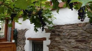 haus-mosel-oase