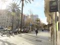 kiwidestiny-barcelona-city