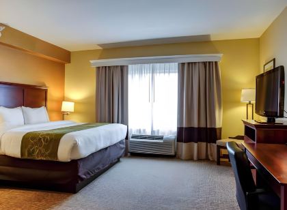 Comfort Suites Ocala North