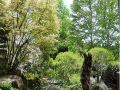 ryokan-sarugakyo-onsen-hatago-shinden