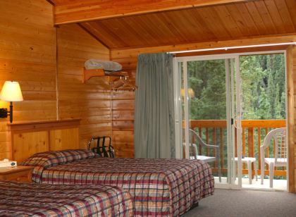Denali Grizzly Bear Resort