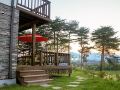 yangyang-mono-tree-pension