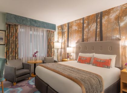 Crowne Plaza 都柏林 - 諾斯伍德