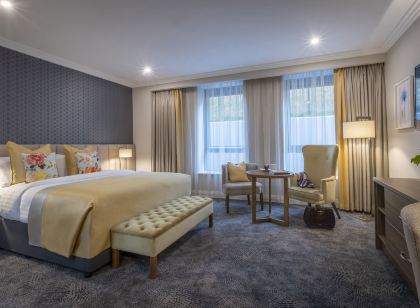Castletroy Park Hotel Suites