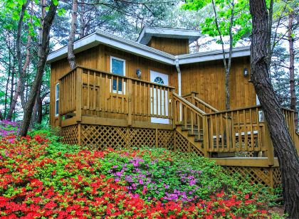 숲속의 연인별 관광농원