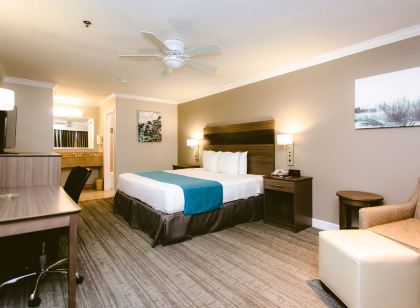 Best Western Pearland Inn