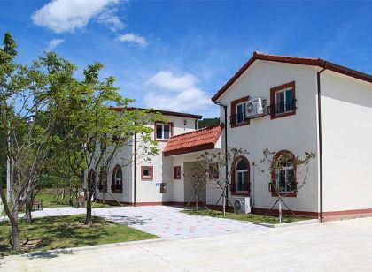 고성 송정마을 수목화 펜션