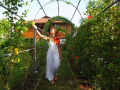 vinis-farm