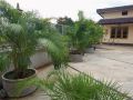 yotin-guest-house