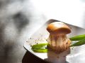 planta-luxury-boutique-resort
