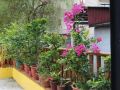 sara-s-house-bandb