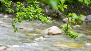 gapyeong-creek-auto-camping-site