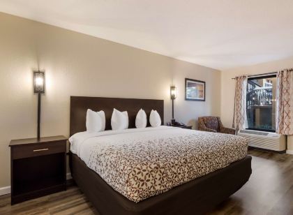 슈어스테이 호텔 바이 베스트 웨스턴 상트 페테 클리어워터 에어포트