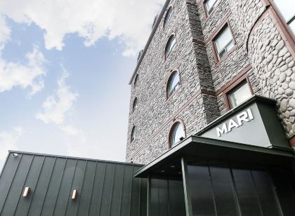 용인 양지 마리