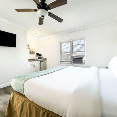 Standard Studio Standard Studio The Palms Promo Code