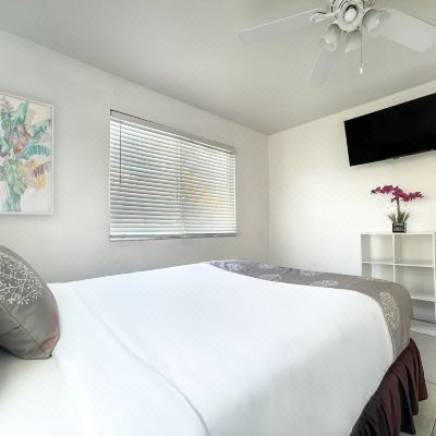 Standard Studio Standard Studio The Palms Promo Code