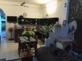 little-house-homestay