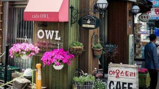owls-nest-guesthouse