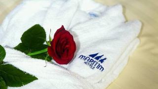 maritim-hotel-bonn