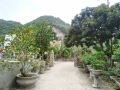 occult-lan-ha-farmstay-mt