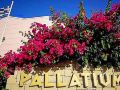pallatium-apartments