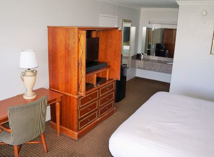 Hotel Elev8