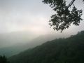 the-mountain-quail