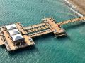 regnum-carya