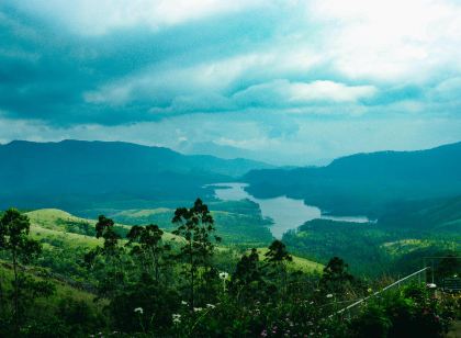 Campper Campwoody Munnar