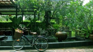 the-ozone-resort