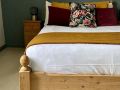 the-lion-at-pennard
