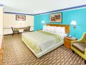 room overview picture