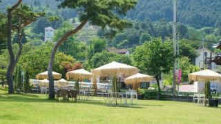 gapyeong-tree-house-pension