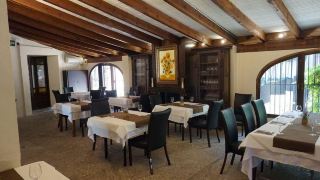hotel-del-arbol