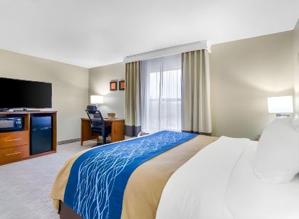 Comfort Inn Ottawa