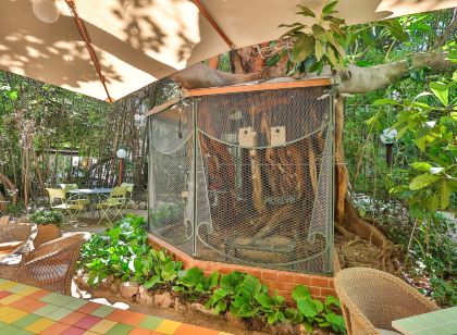 Le Windsor, Jungle Art Hotel