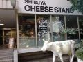 okushibu-residence-103