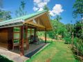 360-rainforest