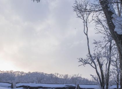 자보린