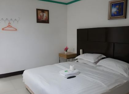 Asia Novo Boutique Hotel - Roxas