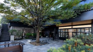 trunk-hotel