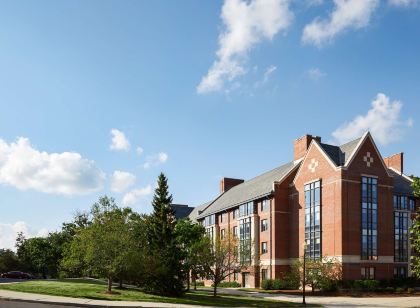 Graduate by Hilton Storrs
