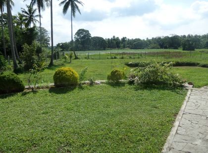 Cocoworld Bungalow
