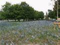 bed-and-breakfast-bio-salix