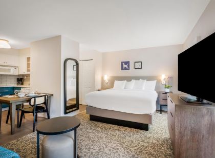 소네스타 ES 스위트 애너하임 리조트 에어리어