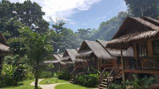 jungle-garden