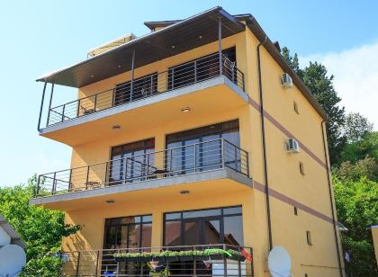 Amosov's House Mini-Hotel