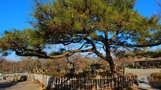 nemu-no-hatago-arashiyama
