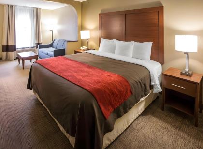 Comfort Inn Biltmore West